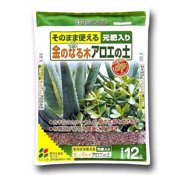 楽天市場】室内向け観葉・多肉の土7号鉢用 3.5L プロトリーフ 培養土 : ワイズライフ