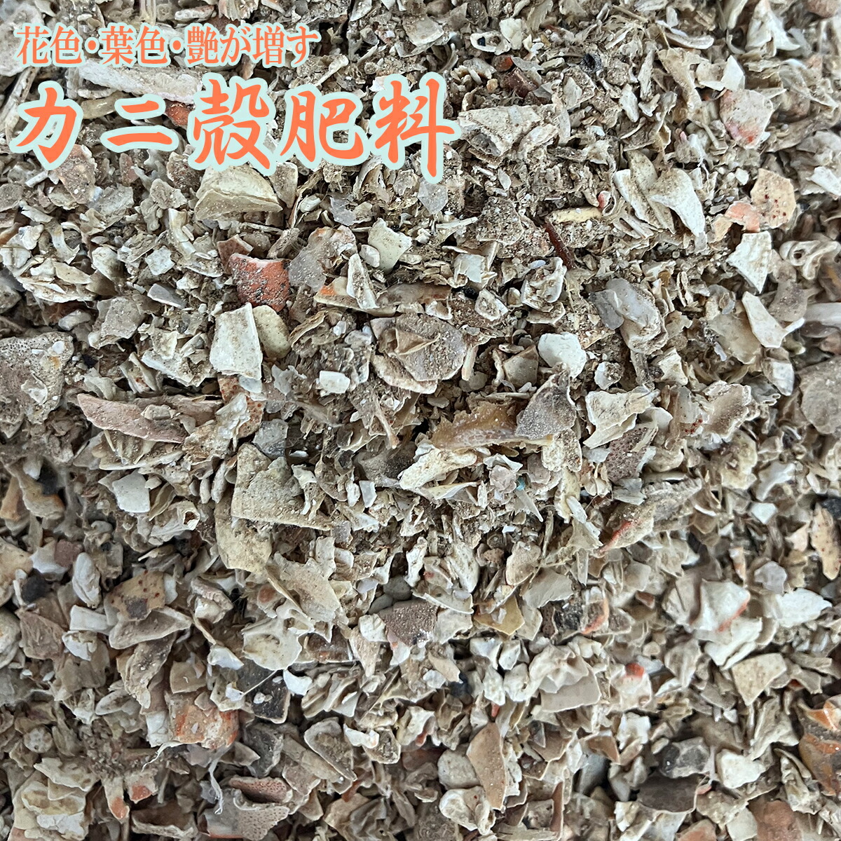 肥料 カニ殻肥料 10kg×2袋 肥料 バラ 肥料 カニ殻 肥料 20kg 業務用 肥料 植物 肥料 有機肥料 バラ 有機肥料 バラ肥料 バラの肥料 蟹殻 粉末肥料 6,224円