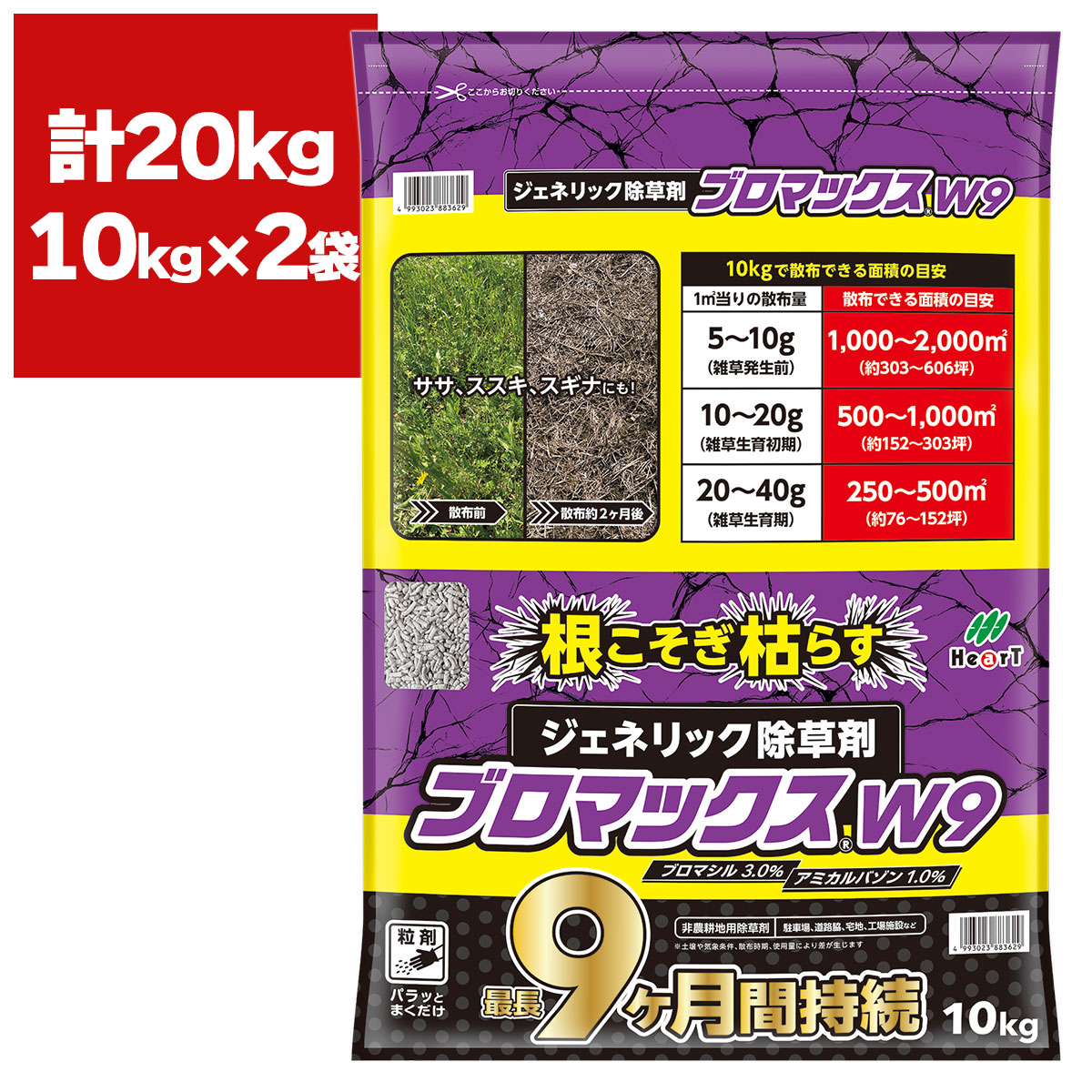 百貨店SALE 当店客体商いもののご引き合わせる