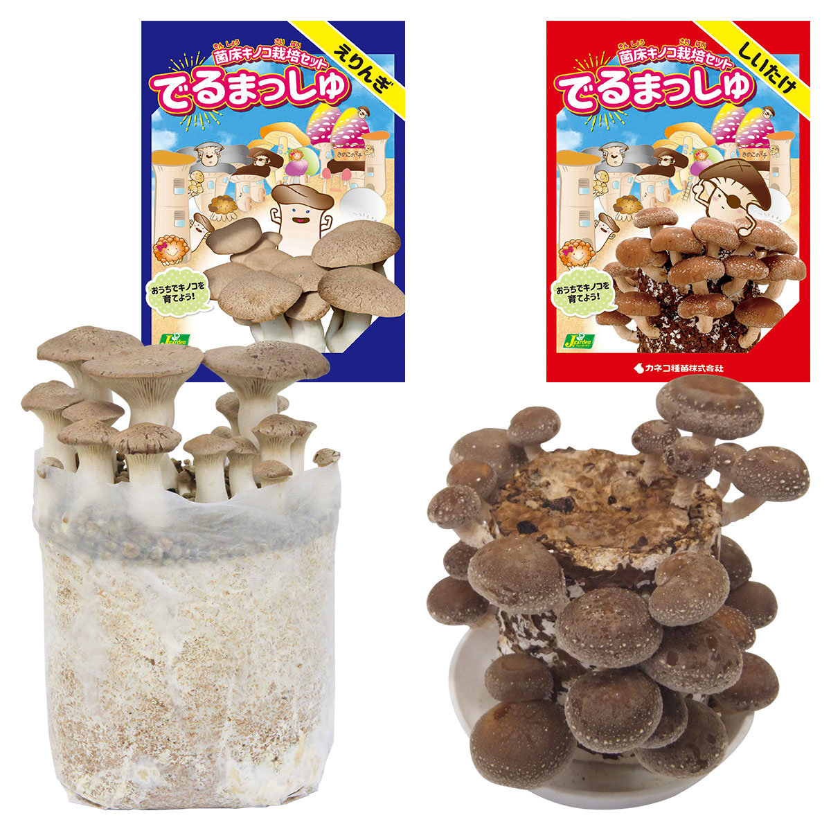 きのこ 4971852642203.jpg