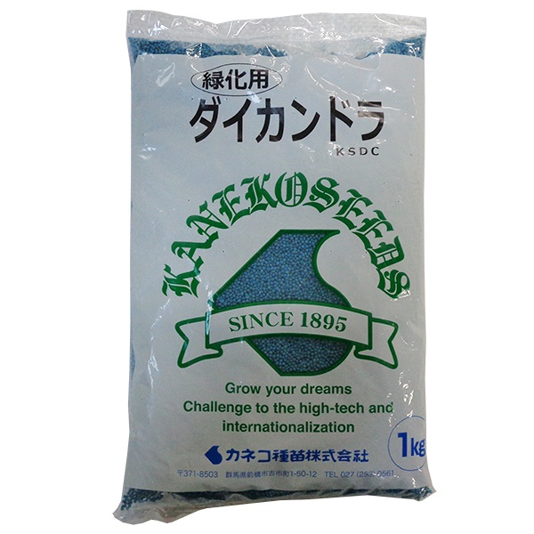 グランドカバーに最適 カネコ種苗 緑肥種 ダイカンドラ 1kg Coastalmedcenter Com