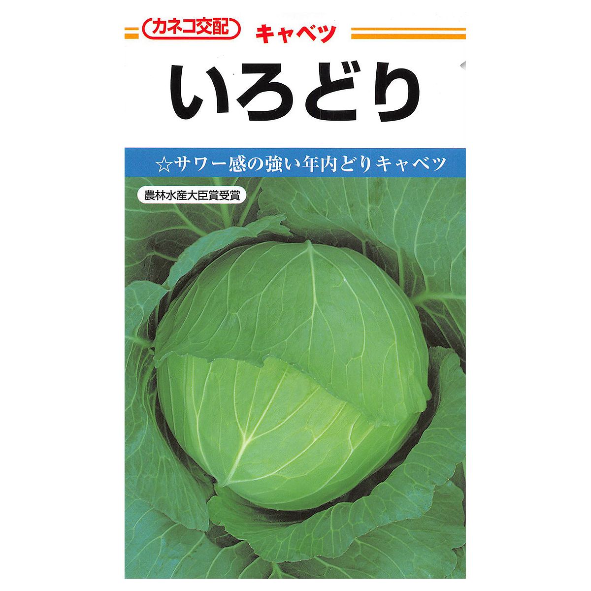 百貨店SALE 当店客体商いもののご引き合わせる