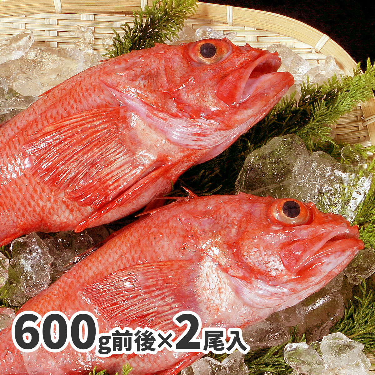 きんき 2尾 大サイズ (600g ×2) キンキ お取り寄せ グルメ 冷凍 全国送料無料
