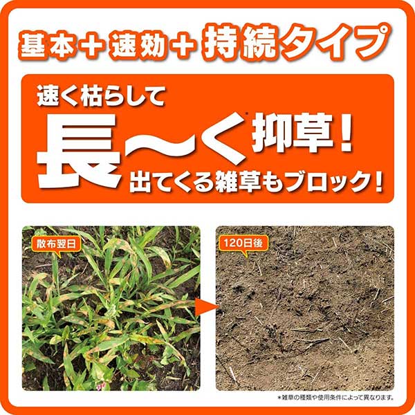 即納最大半額 日産化学 除草剤 ラウンドアップマックスロードaliii 4 5l 4本 ケース販売 A 人気絶頂 Sicemingenieros Com