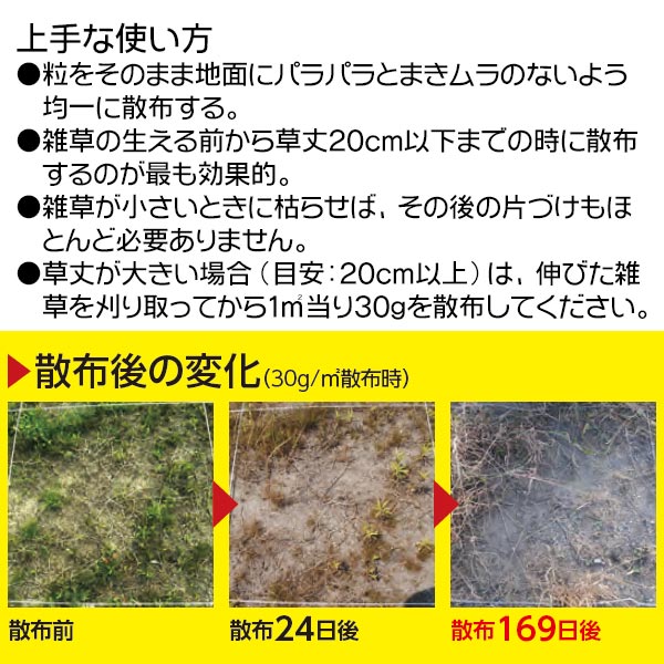 楽天市場 レインボー薬品 除草剤 ネコソギエースv粒剤 10kg A ワイズライフ