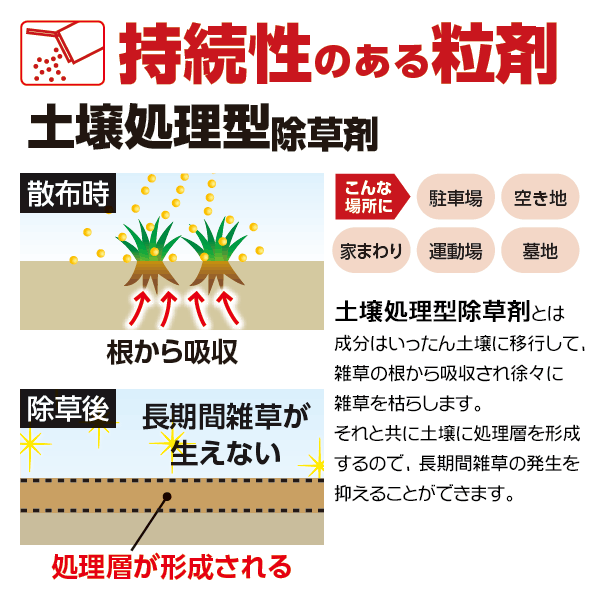 まとめ買い 6箱入 ネコソギトップW粒剤 3kg レインボー薬品 ササ