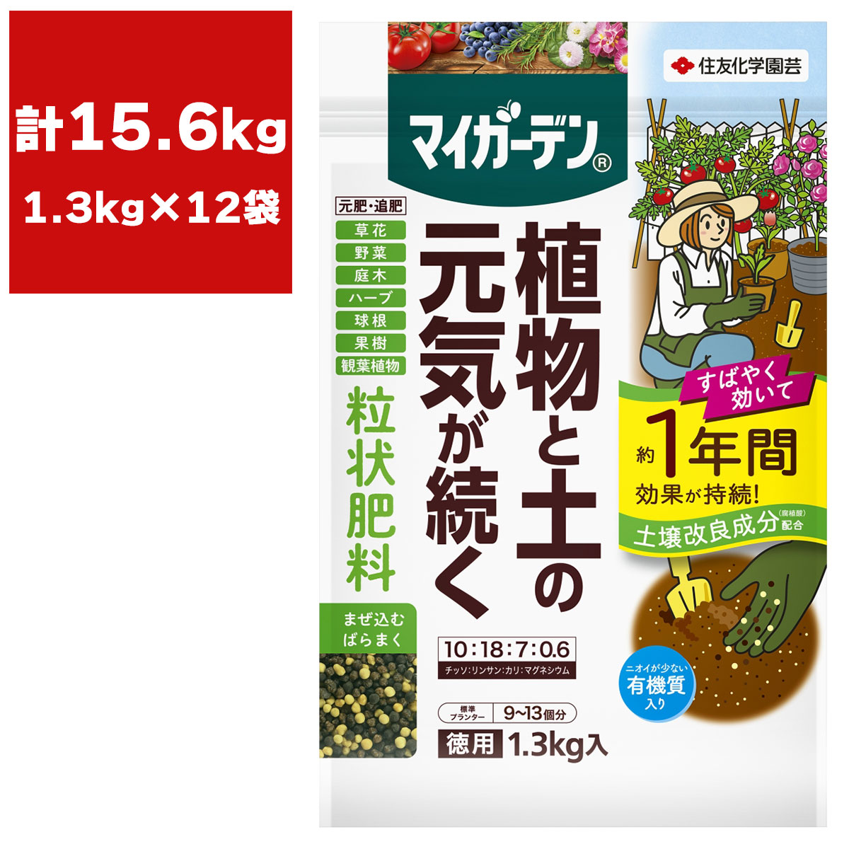 百貨店SALE 当店客体商いもののご引き合わせる