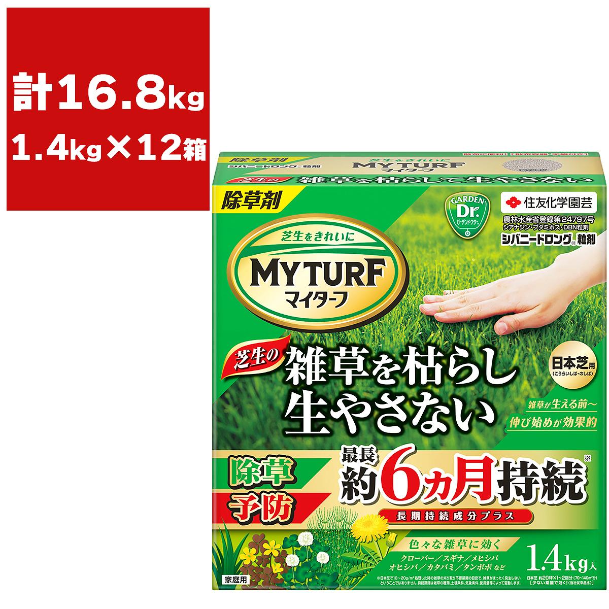 百貨店SALE 当店客体商いもののご引き合わせる
