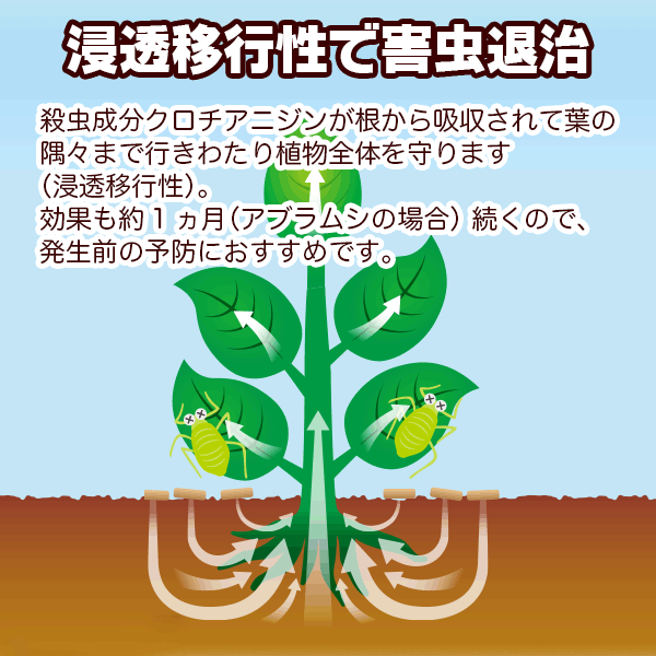 楽天市場 ベニカxガード粒剤 250g 住友化学園芸 M2 ワイズライフ