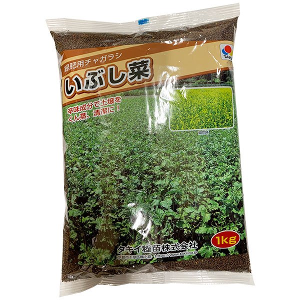 1110円 ランキング2022 1110円 全国一律送料無料 緑肥用チャガラシいぶし菜 1kg タキイ種苗 緑肥種 代金引換不可 送料無料