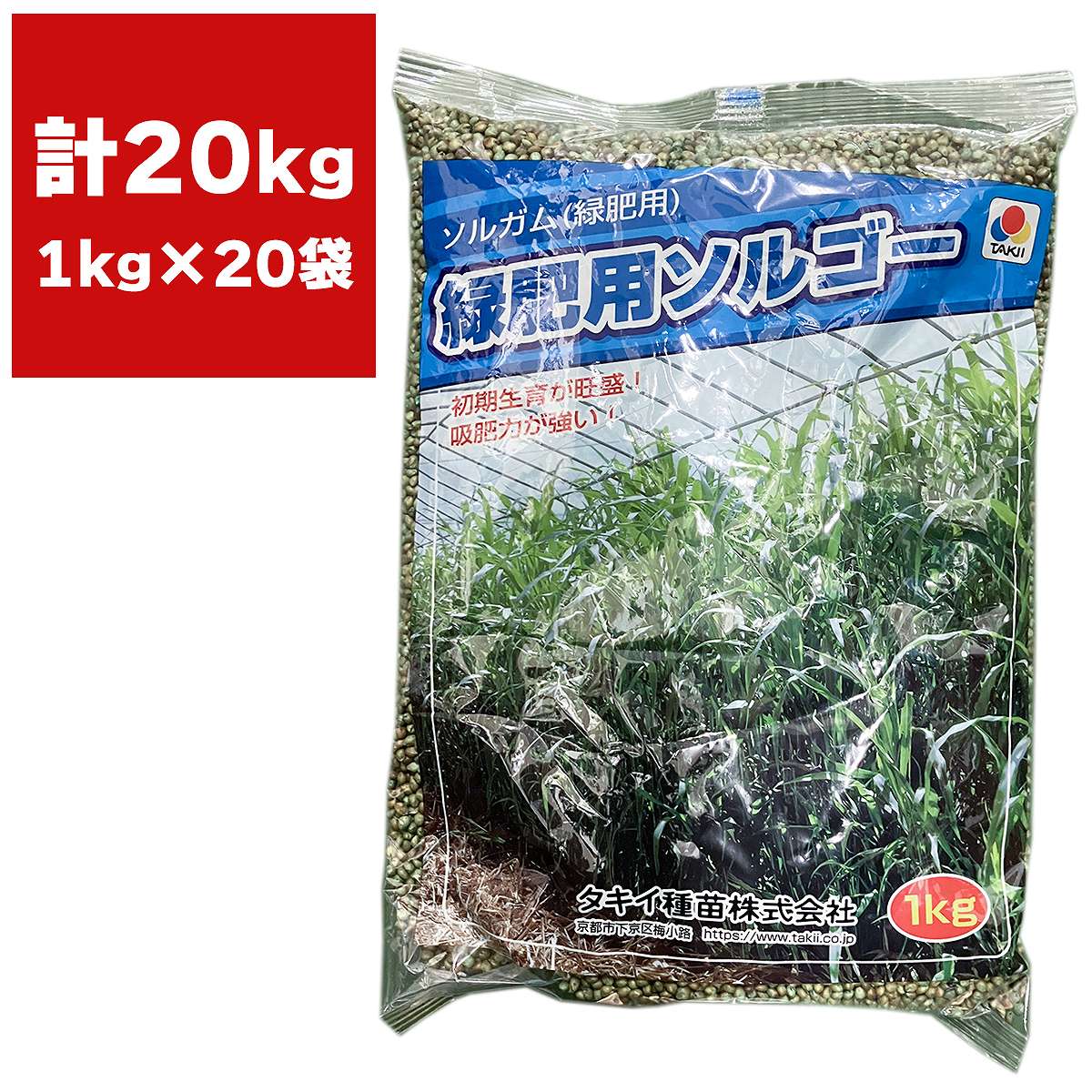 緑肥 ソルガム 緑肥用ソルゴー 20kg (1kg×20袋) タキイ種苗 緑肥 種 緑肥 種子 ソルゴー 種 ソルゴー 種子 緑肥 業務用 種子 緑肥 業務用 種 ソルゴーの種