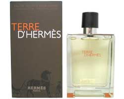 エルメス HERMES テール ドゥ エルメス EDT SP 100ml【香水 メンズ レディース】【香水 ブランド バレンタイン ギフト 誕生日】