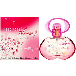 楽天市場】【最大P2倍・最大1000円offクーポン】サルヴァトーレ