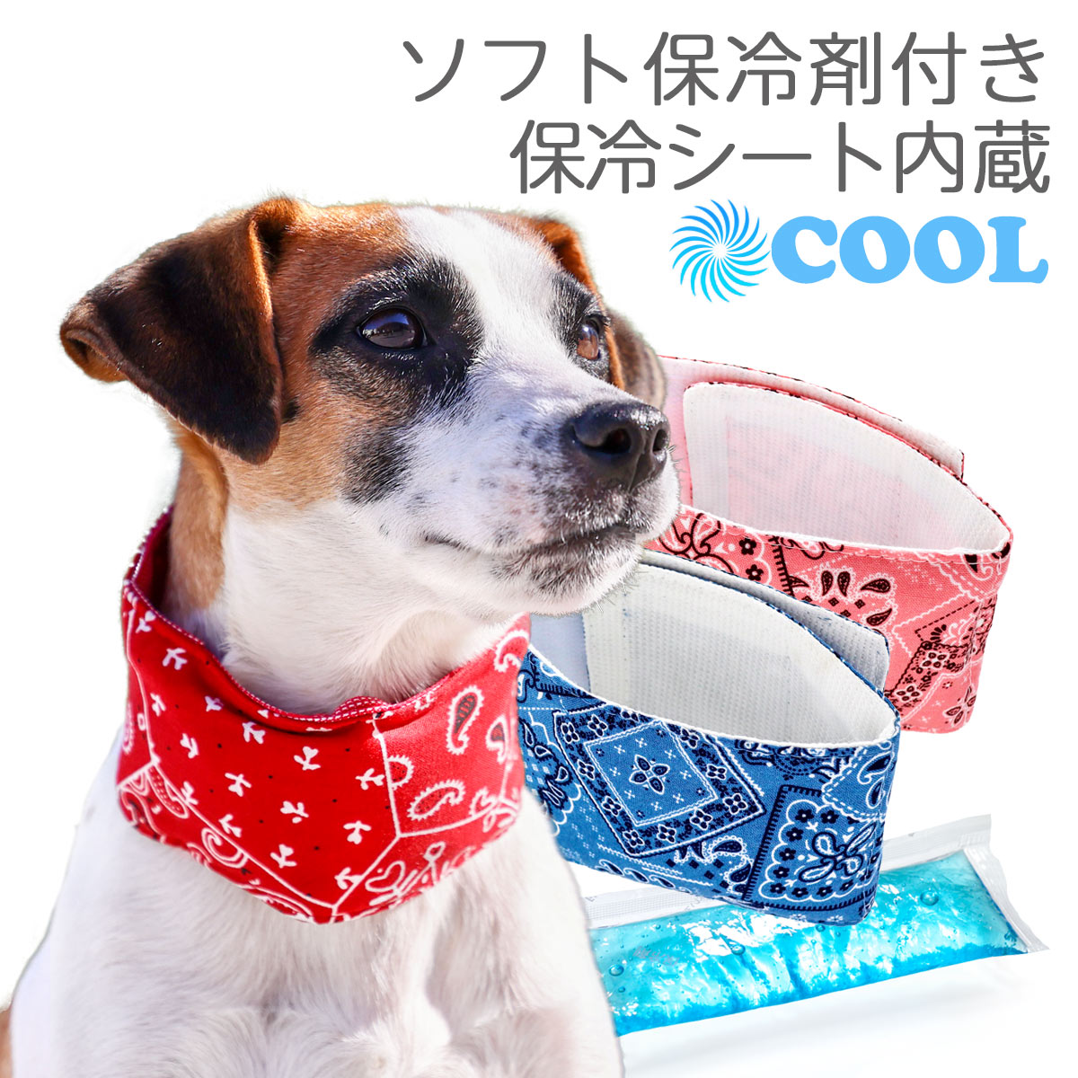 楽天市場】【30％ＯＦＦ！/犬 ネックバンド クールバンド ネック