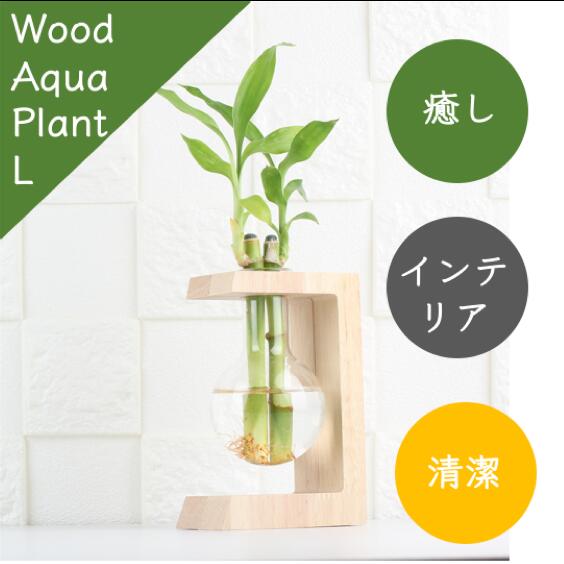 楽天市場 観葉植物付き 水栽培 ポット セット 花瓶 水耕栽培 キット グリーン ミニ 観葉植物 おしゃれ鉢 雑貨 インテリア ハイドロカルチャー 植木鉢 お祝い プレゼント 開店祝い お返し プチギフト 花 多肉植物 送料無料 透明 プランター ウィズアクア 楽天市場店