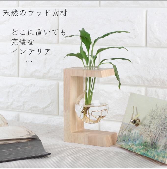 観葉植物付き 水栽培 ポット セット 花瓶 水耕栽培 キット グリーン ミニ 観葉植物 おしゃれ鉢 雑貨 インテリア ハイドロカルチャー 植木鉢 お祝い プレゼント 開店祝い お返し プチギフト 花 多肉植物 送料無料 透明 プランター Educaps Com Br