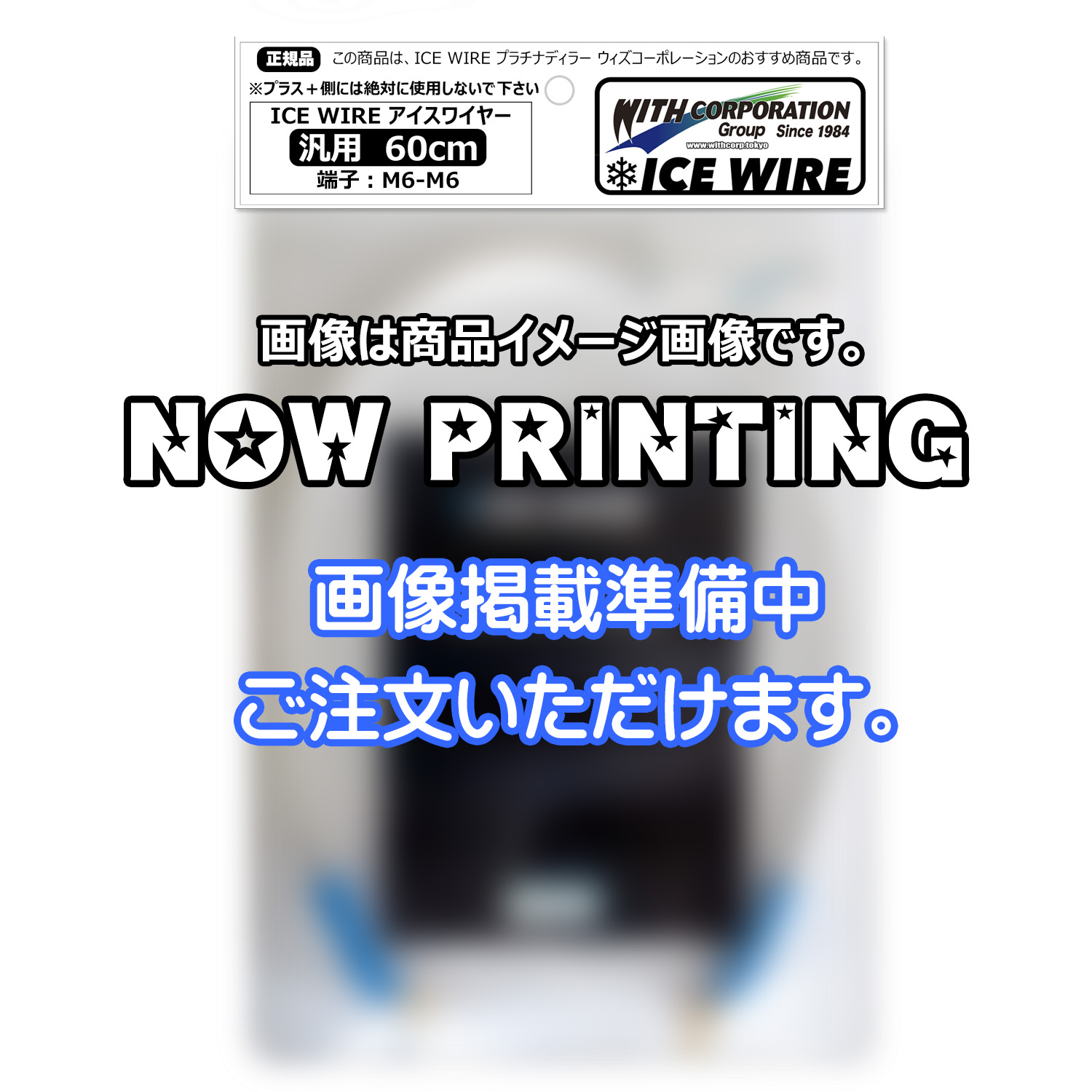 アイスワイヤー ICE WIRE 60cm 端子 M6-M6 汎用品 ハイカレント アーシング【正規品】TV番組 carXs カーエックス 紹介商品 ウィズコーポレーション 34,125円