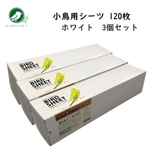 売れ筋ランキング 高品質新品 小鳥 シーツ ハッピーホリディ 小鳥用シーツ 120枚 ホワイト 3個セット インコ 文鳥 尿 糞 掃除用シーツ designufabet.com designufabet.com