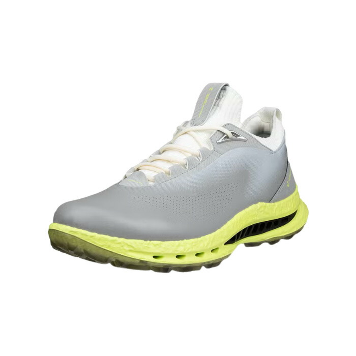 山びこ ecco 132604-55915 BIOM C5 スパイク受け答え ゴルフシューズ メンズ 紐 GORE-TEX 好いたらしいな履き気味合い