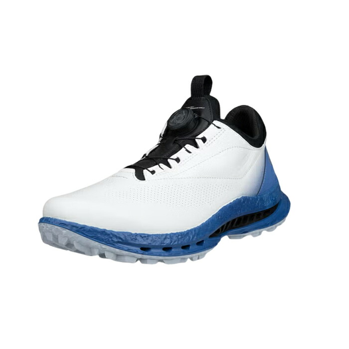 山びこ ecco 132614-61583 BIOM C5 BOA スパイク受け答え ゴルフシューズ メンズ GORE-TEX 本革 バイオム