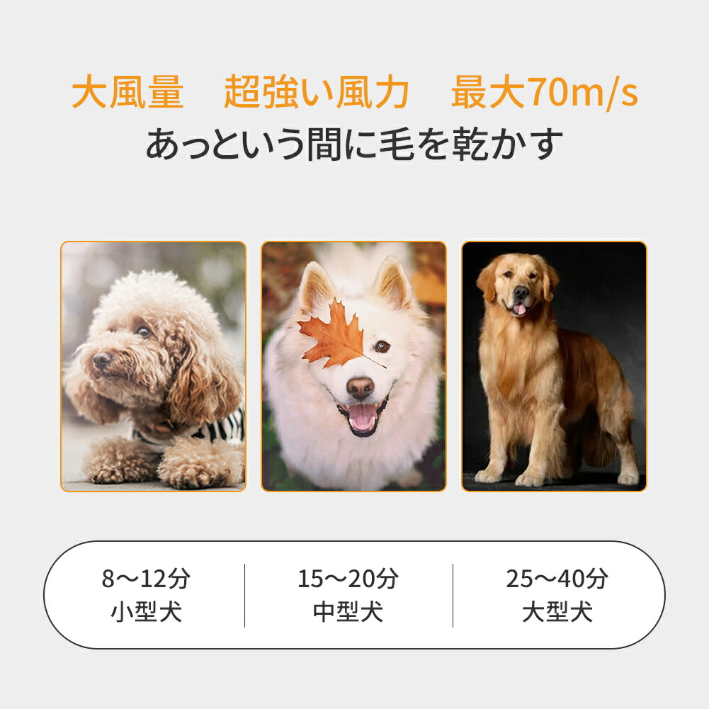 4年保証 2年保証 Hzdmj ペットバスグッズ Pse認証済 ペット用ドライヤー 大風量 業務用 ブロワー 両型 ヘアドライヤー ペット用品 犬 オススメドライヤー 送風機 速乾 風量 温度調節可能 静音 大型 中型 小型犬 長毛適用 家庭用 日本語説明書付き 猫 ネコ 風呂