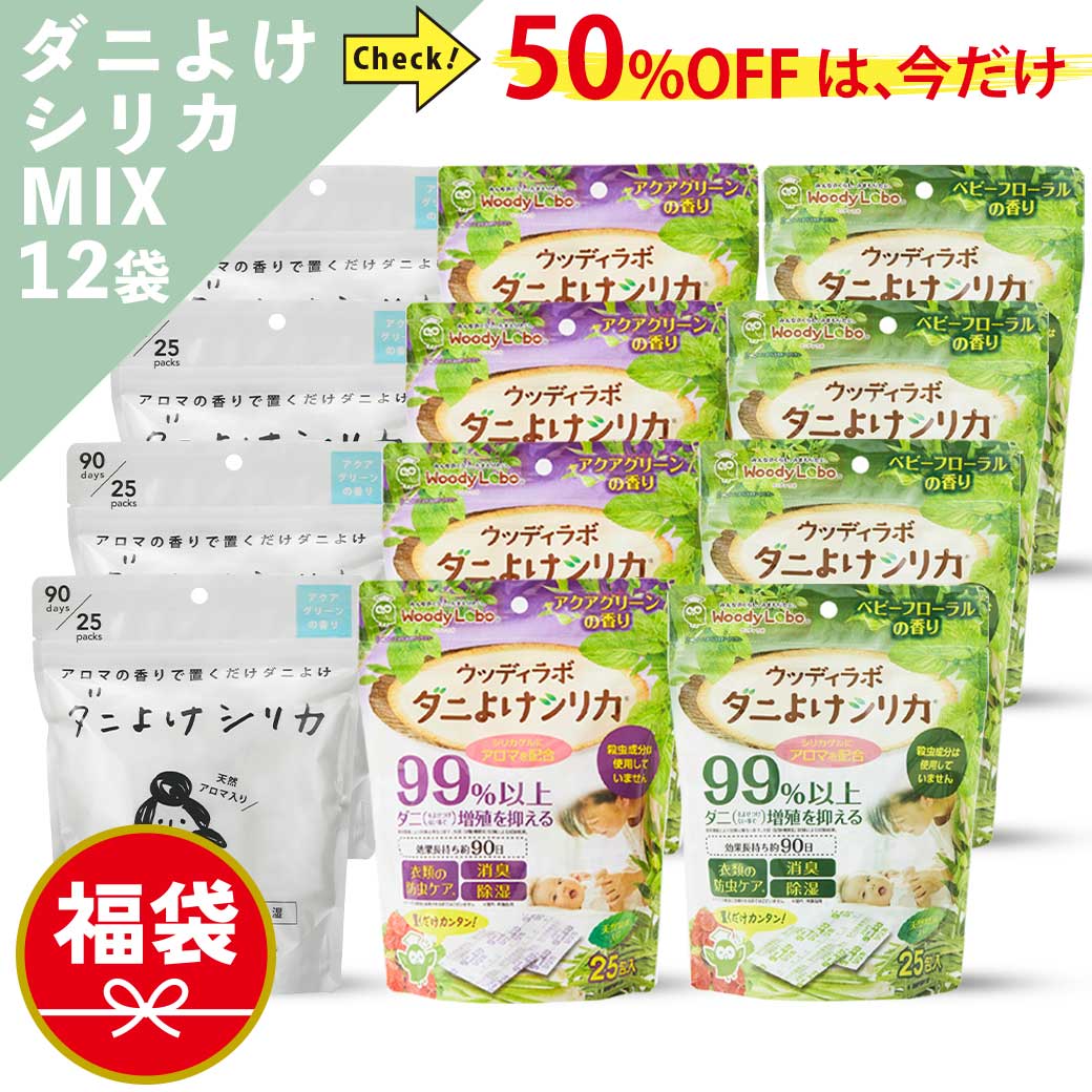 百貨店大売り出し×ウッディラボストア