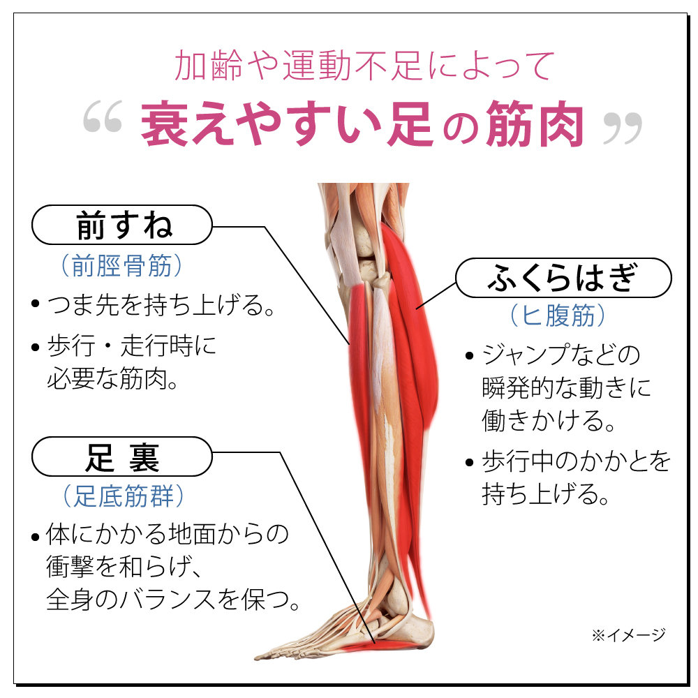 激安超安値 脚痩せ 美脚 ヒップ ふくらはぎ むくみ 最新足裏EMS Calfoot 偏平足 マッサージ 健脚 歩行機能 千葉真子さん監修 カルフット  土踏まず 足裏 ダイエット