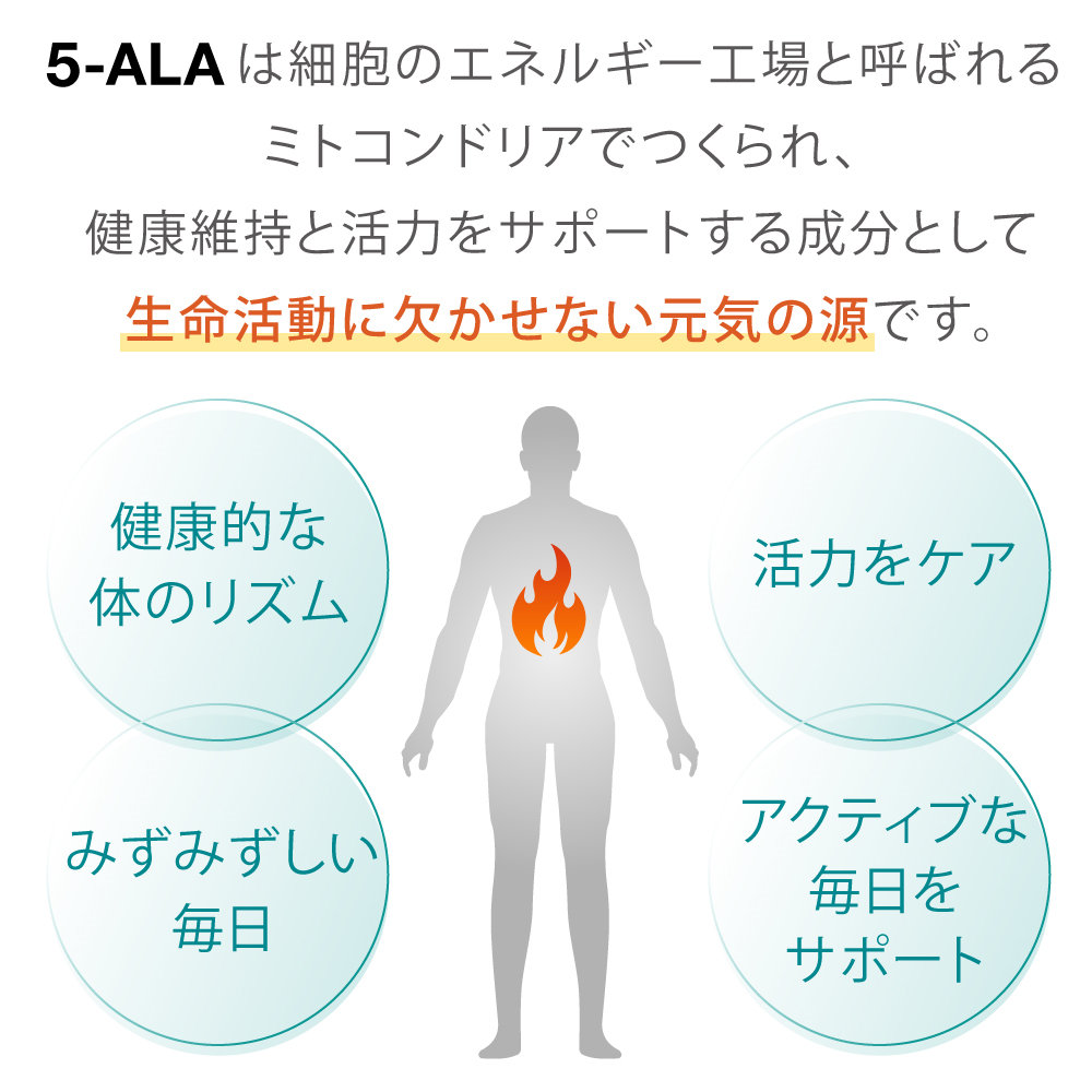 5 Ala 50mg アミノ酸 5 アミノレブリン酸 配合 60粒 瓶 60日分 日本製 ネオファーマジャパン 正規代理店サプリ サプリメント Butlerchimneys Com