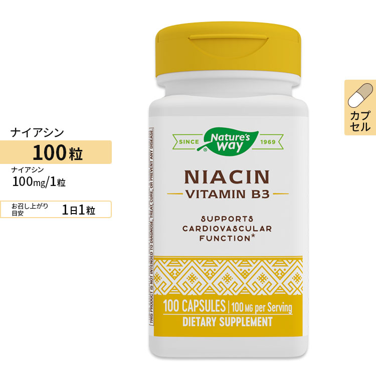 市場 ナイアシン 100mg ビタミンB3 Nature's 100粒