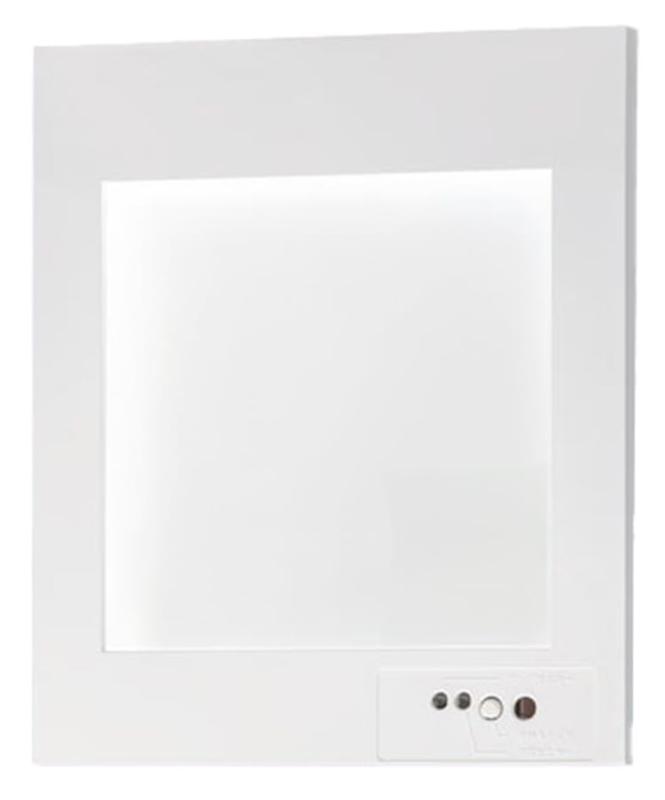 パナソニック(Panasonic) 壁埋込型 LED誘導灯 片面型・一般型（20分間） 自己点検機能付/C級(10形) FA10303CLE1