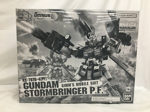 ガンダム　ストームブリンガー　RX-78TB-2 SB フィギュア Premium Bandai MG 1/100 RX-78TB-2[SB] Gundam Stormbringer