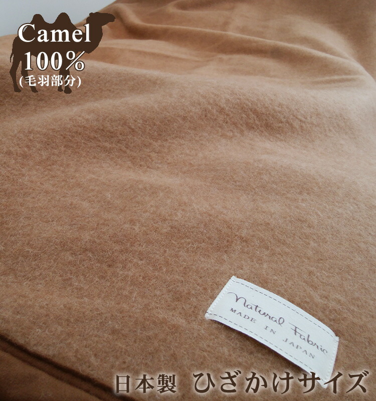 ca-23mh_01.jpg