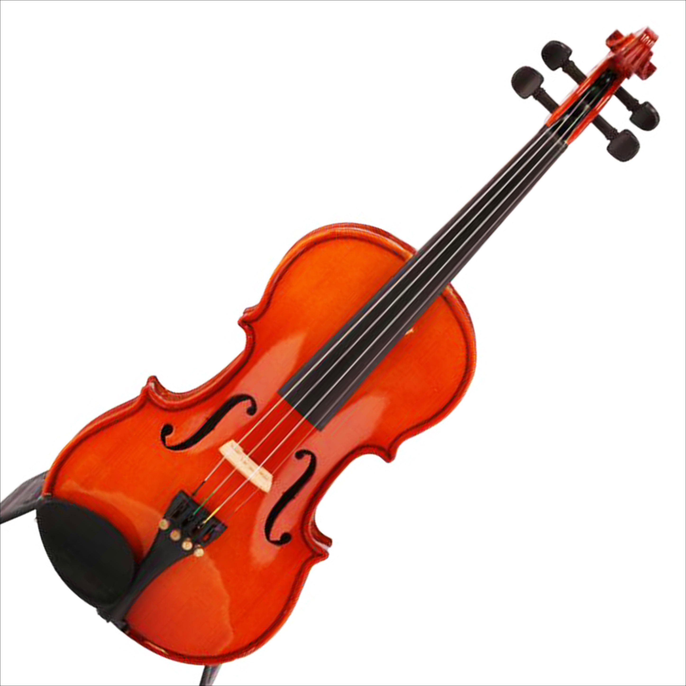 Stentor ステンター バイオリン Student Standard 楽器関連 Cランク 75