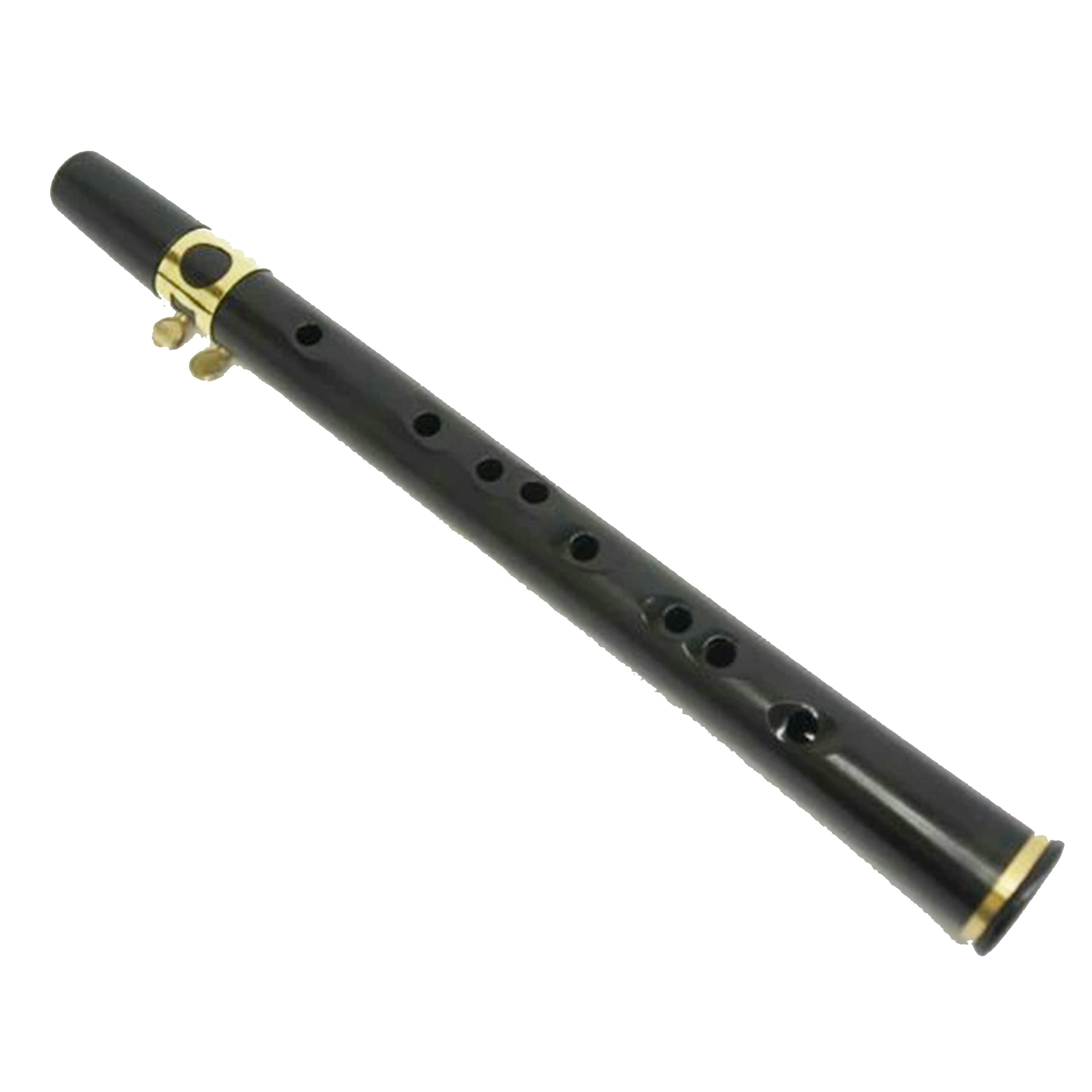 竹製　マウイ　ザフーン　Xaphoon ポケットサックス　バンブーサックス Amazon | Xaphoon ザフーン 竹製サックス BAMBOO SAX (Key B