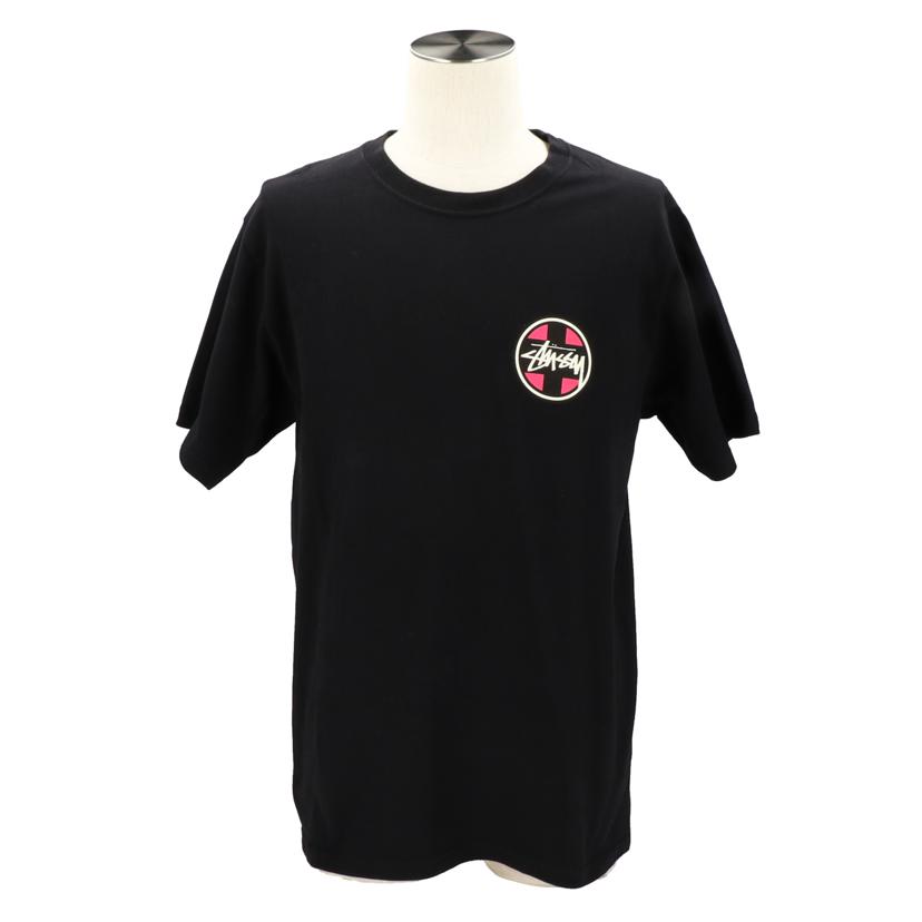 STUSSY 新品デッドストックTシャツ タグ付き チャンピオンボディ仕様 STUSSY 新品デッドストックTシャツ タグ付き チャンピオンボディ仕様