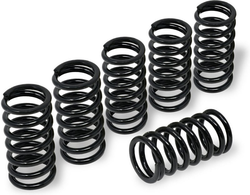 CNC Racing / シーエヌシーレーシング Clutch springs H40.5 - MV Agusta （MVアグスタ）| MO245B