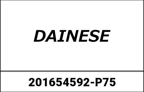 ☆正規品新品未使用品 Dainese ダイネーゼ SUPER RIDER D-DRY
