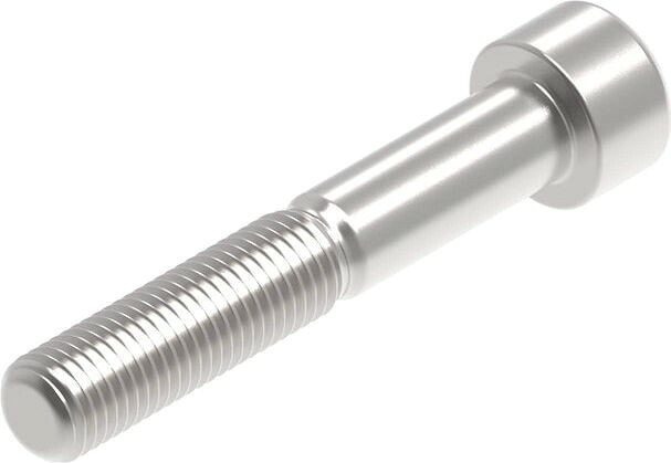 Evotech Performance Evotech Performance- EP M10 x 60 x 1.25mm Pitch Caphead - 316 S/S | PRN014260