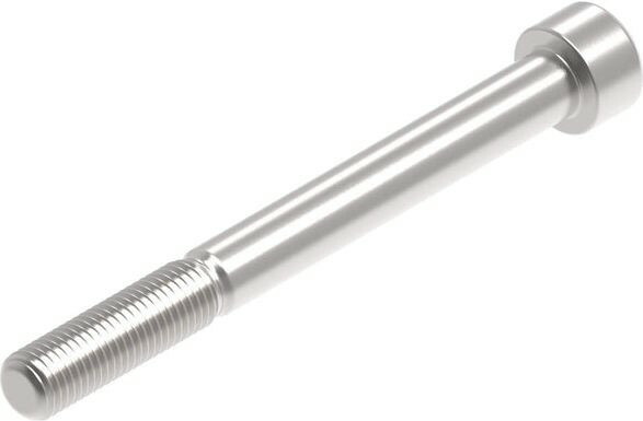 Evotech Performance Evotech Performance- EP M10 x 100 x 1.25mm Pitch Caphead - 316 S/S | PRN014298