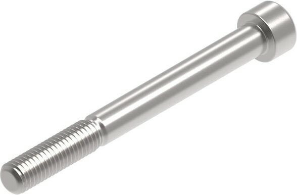 Evotech Performance Evotech Performance- EP M10 x 100 x 1.5mm Pitch Caphead - 316 S/S | PRN014342