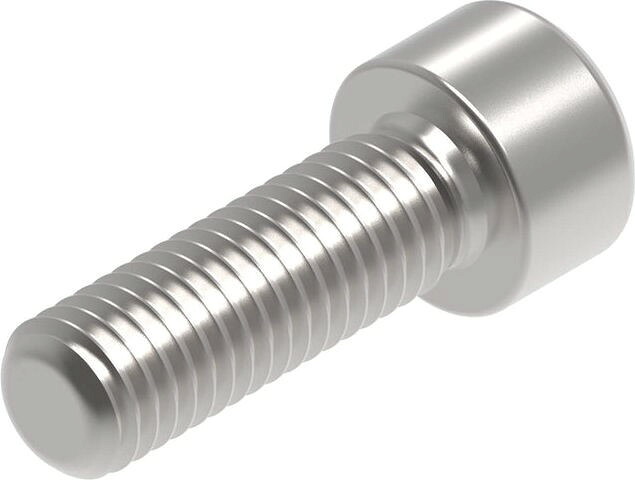 Evotech Performance Evotech Performance- EP M10 x 30 x 1.5mm Pitch Caphead - 316 S/S | PRN015295