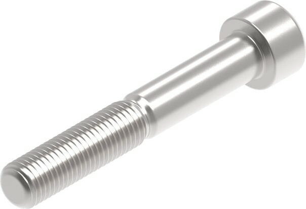 Evotech Performance Evotech Performance- EP M10 x 65 x 1.25mm Pitch Caphead - 316 S/S | PRN015349 6,536円
