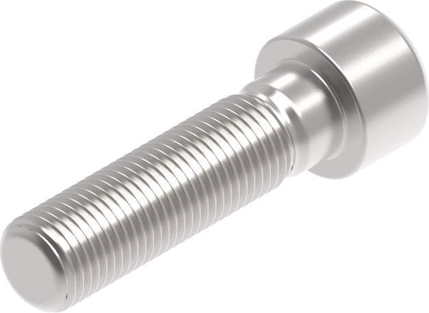 Evotech Performance Evotech Performance- EP M12 x 45 x 1.25mm Pitch Caphead - 316 S/S | PRN016099