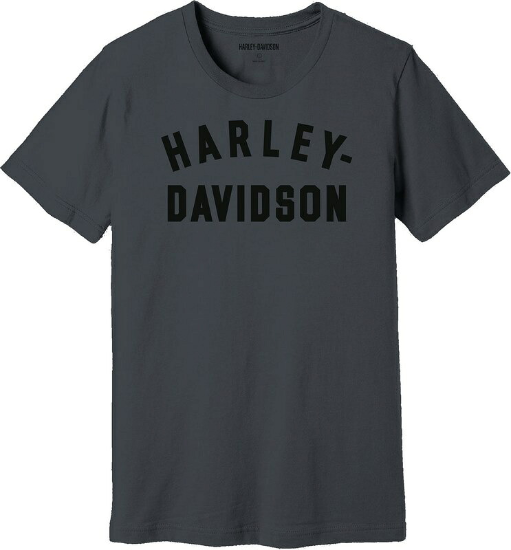 Harley-Davidson Men'S Staple Tee- Blackened Pearl | 99069-22VM｜ワンダーテック