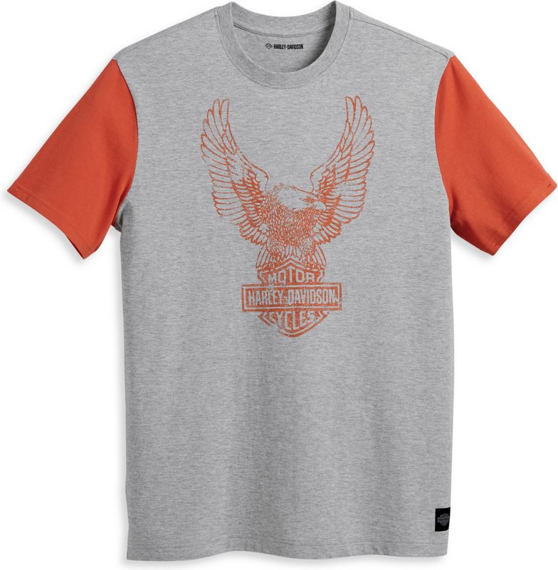 Harley-Davidson Tee-Knit- Colorblock-Design-Gray | 96053-23VM 14,091円