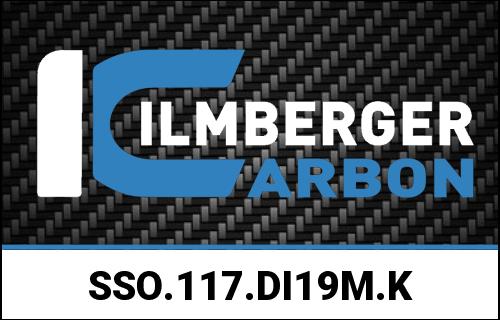 Ilmberger Carbon / イルムバーガー スイングアームcover with upper chain guard matt Diavel '19 | SSO.117.DI19M.K