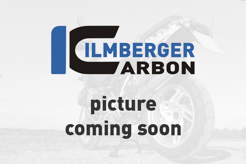 Ilmberger / イルムバーガー カバー アンダーフレーム 左 グロス Panigale V2 | ARL.003.V220G.K 44,640円