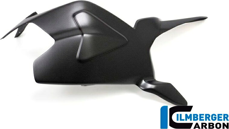 ILMBERGER / イルムバーガーカーボン スイングアームカバー - Ducati ストリートファイター V2 2021 | SSO.118.V2SFM.K｜ワンダーテック