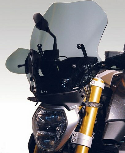 Isotta / イソッタ キット: オリジナルタイプウィンドシールド + アンチグレアスポイラー R 1200|ワンダーテック