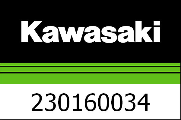 Kawasaki / カワサキ ランプ-アッシー-FI ワーニング | 230160034